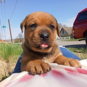 Meet your Posher, Stevi